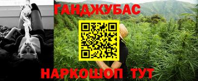mdpv Гатчина