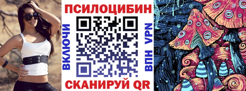 Галлюциногенные грибы Psilocybe  KRAKEN ТОР  Ангарск 