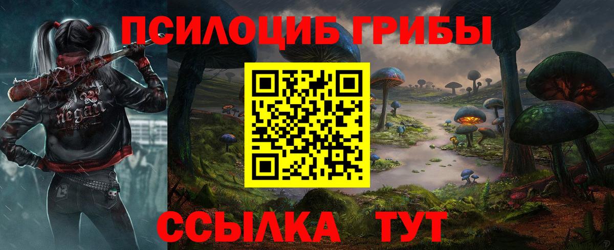 Псилоцибиновые грибы Cubensis  Псилоцибиновые грибы прущие грибы  Ангарск  Вход с VPN 