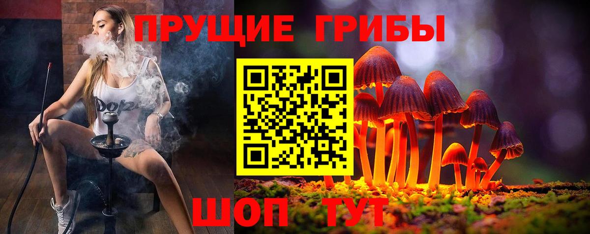 Псилоцибиновые грибы Psilocybe  Галлюциногенные грибы Cubensis  Ангарск 
